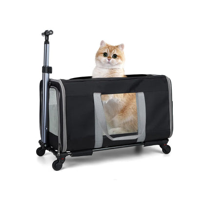 Chariot de transport premium pour chats
