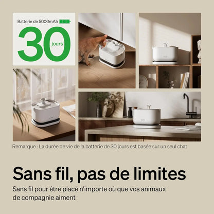 PETLIBRO Sans Fil 2,5 L – Fontaine à eau pour chat